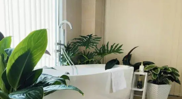 Номер Standard Maccal Boutique Hotel Dalat