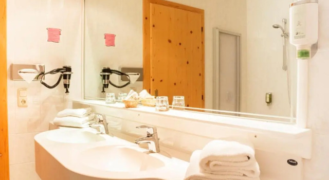 Двухместный номер Standard Elbhotel Bad Schandau