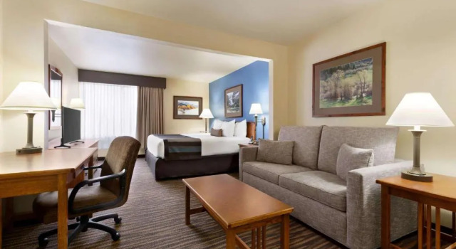 Двухместный номер Deluxe Wingate by Wyndham Denver Tech Center