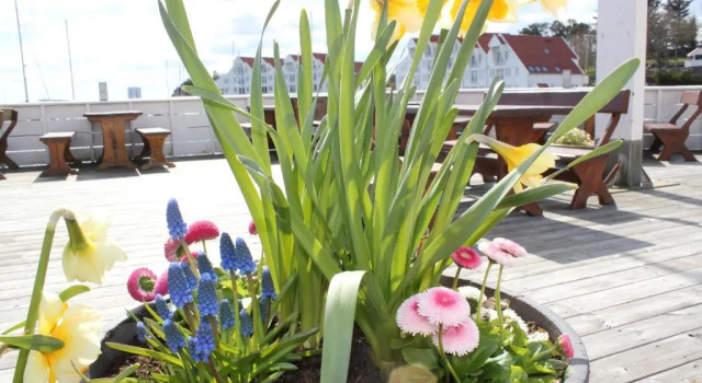 Номер Standard Hummeren Hotel