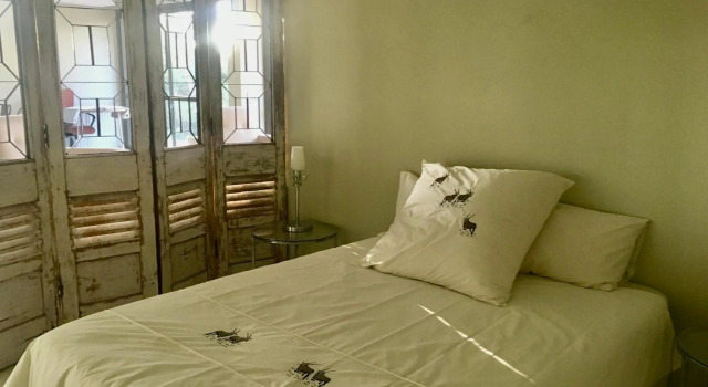 Klein Windhoek Garden flat