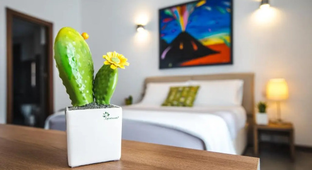 Двухместный номер Standard B&B Arco dei Pinto
