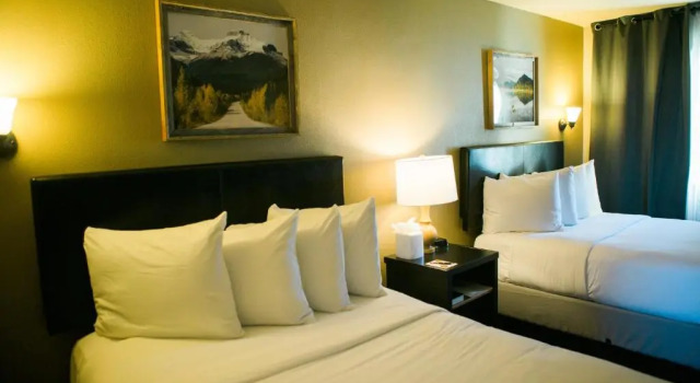 Четырёхместный номер Standard Hotel Frisco