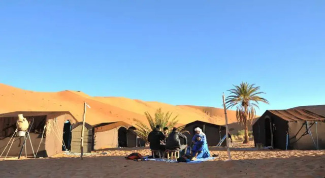 Oasis Camp