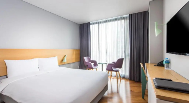 Двухместный номер Deluxe Hotel Peyto Gangnam