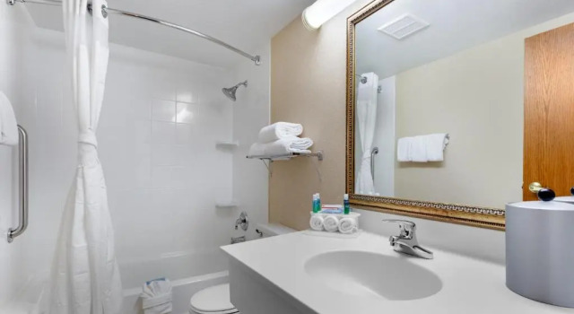 Номер Standard Holiday Inn Express Chicago-Downers Grove by IHG
