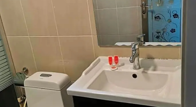 Двухместный номер Deluxe Palace Inn