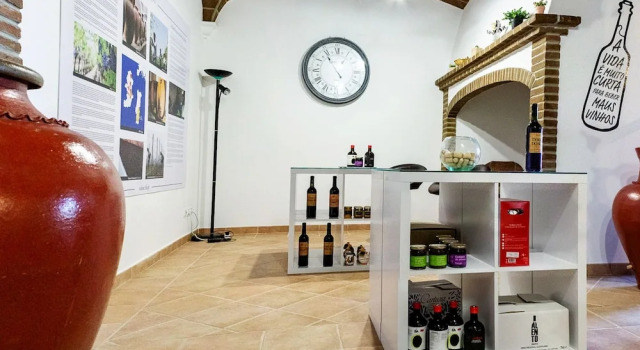 Monte do Colmeal - Country House & Wine, Prenota Hotel Hotel a Alentejo con piscina, Piscina