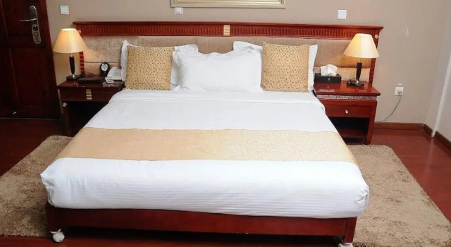 Номер Standard Zola International Hotel
