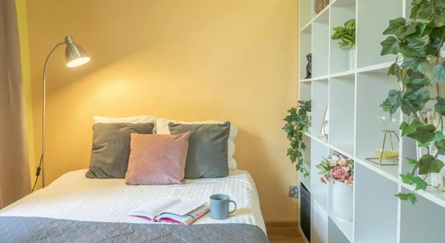 Apartament Premium Salt