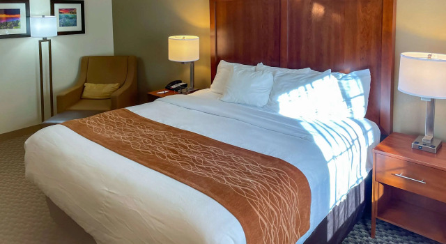 Двухместный номер Standard Comfort Inn & Suites Midtown