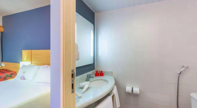 Номер Standard ibis Paulinia