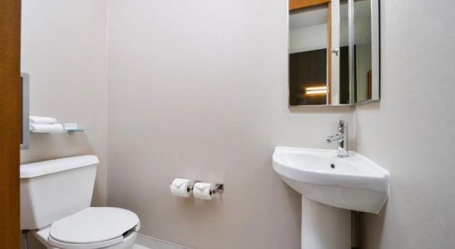 Двухместная студия SpringHill Suites Ashburn Dulles North