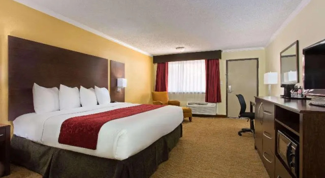 Двухместный номер Deluxe Ramada by Wyndham Tampa Westshore Airport South