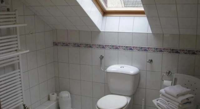 Трёхместный номер Standard Hotel Pension Loose