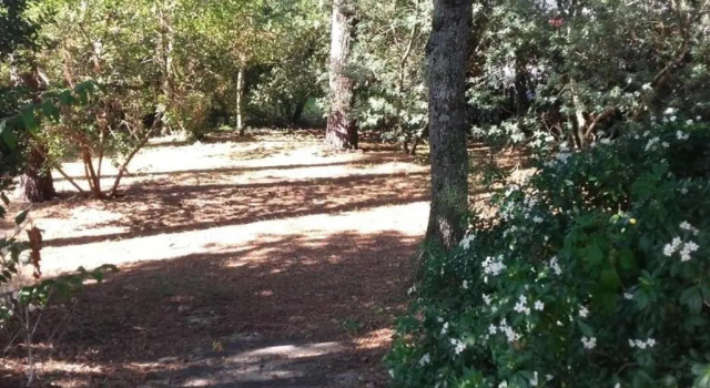 Maison spacieuse et calme à Arcachon - Idéale famille ou amis, proche plage et activités - FR-1-319-66, Забронировать Вилла Коттеджи Бассен-д'Аркашон, Коттедж
