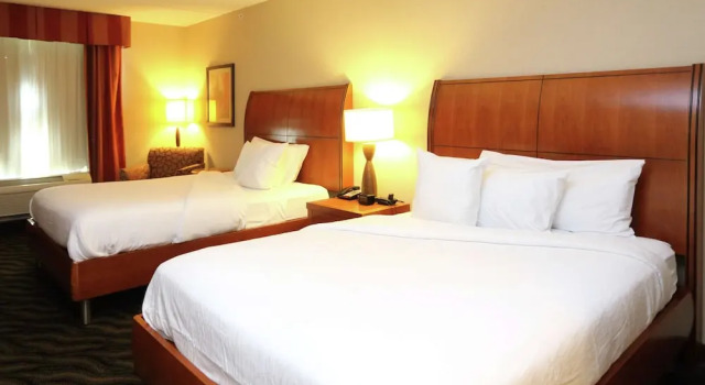 Номер Deluxe Hilton Garden Inn Chesapeake/Suffolk