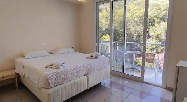 Двухместный номер с балконом и с видом на лес New Aegli Resort Hotel