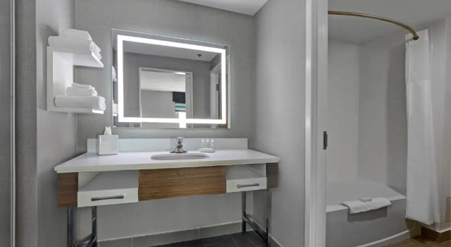 Четырёхместный люкс Hampton Inn & Suites Belleville