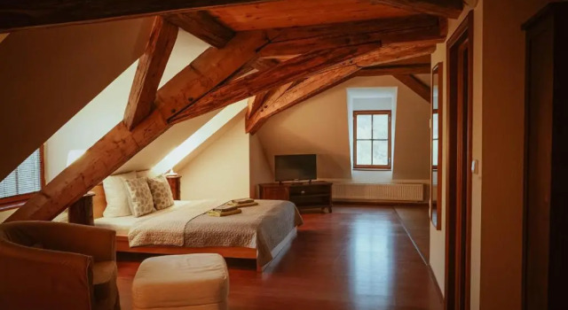 Студия Hotel Stein Elbogen