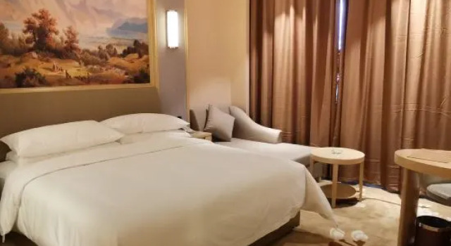 Люкс Deluxe Vienna Hotel (Qujing High Speed Railway Station Wuguanyi Center)