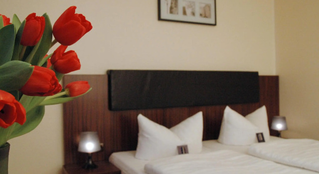 Двухместный номер Standard City Hotel Mercator