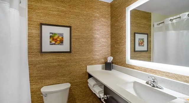 Номер Deluxe Holiday Inn - Terre Haute by IHG