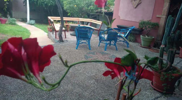 Двухместный номер Standard Agriturismo Il Melograno