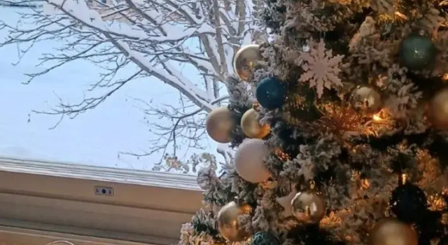 Tyylikäs yhden makuuhuoneen kohde luonnon lähellä