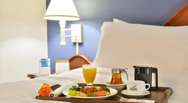 Полулюкс Hotel Plaza Del Libertador