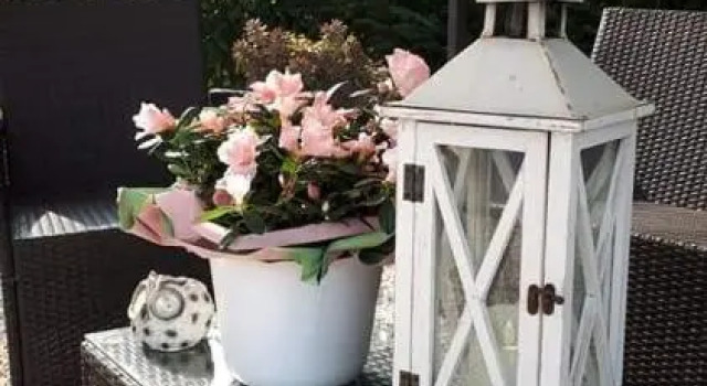 B&B A casa di Eleonora