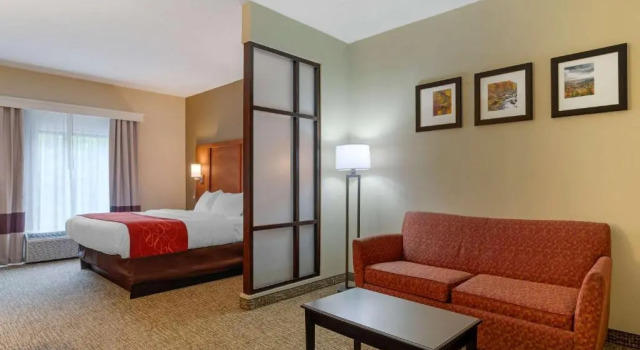 Люкс Comfort Suites Kingsport South