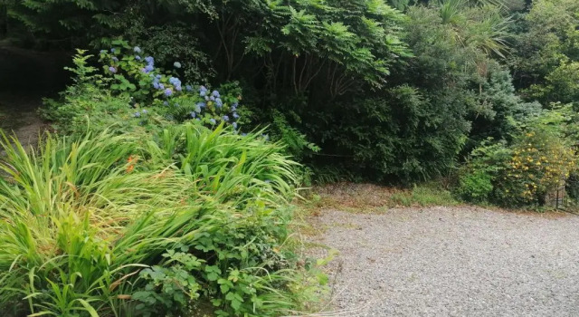 Коттедж Harbourside House Glengarriff