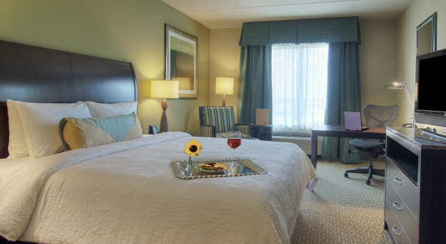 Двухместный номер Standard Hilton Garden Inn Houston-Pearland