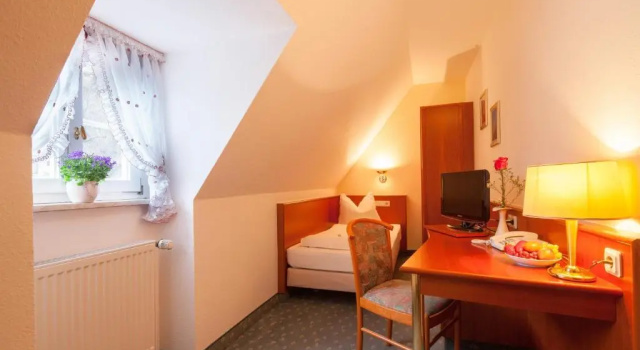 Одноместный номер Standard Hotel Domschatz