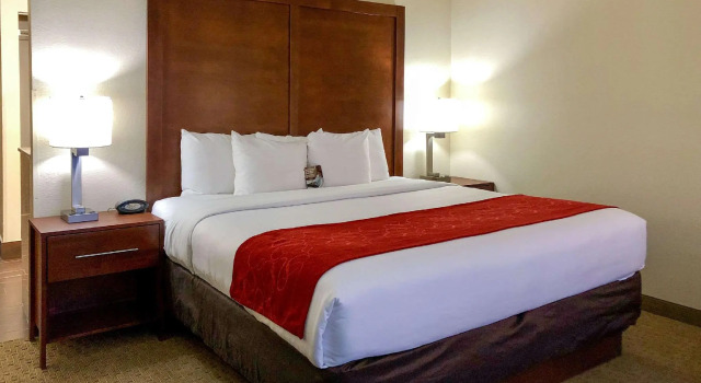Двухместный люкс Vista Suites Near Island and Leconte Convention Center