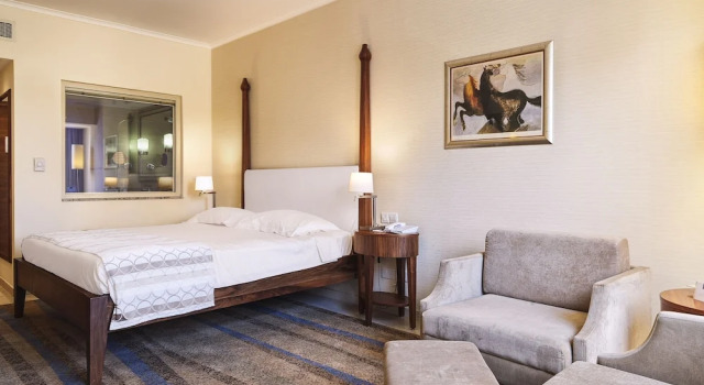 Одноместный номер Standard Alexander The Great Beach Hotel