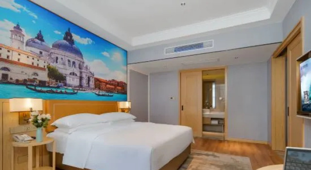 Люкс Deluxe Vienna Hotel (Suzhou Railway Station Port Middle Road)