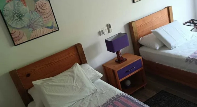 Номер Standard Blue Lizard House
