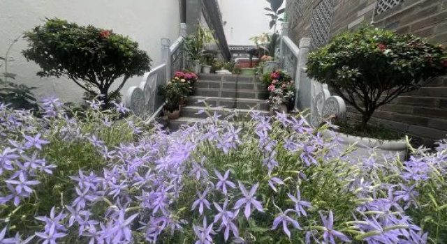 Weishan Fuxi Courtyard Homestay, Prenota Hotel Hotel a Yunnan con parcheggio, Parcheggio
