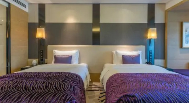 Номер Deluxe Radisson Blu Hotel Wuhan ETD Zone