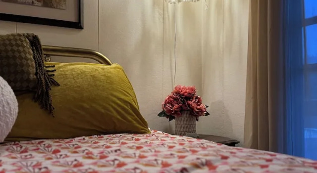 Номер Classic The Boho Buffalo Inn