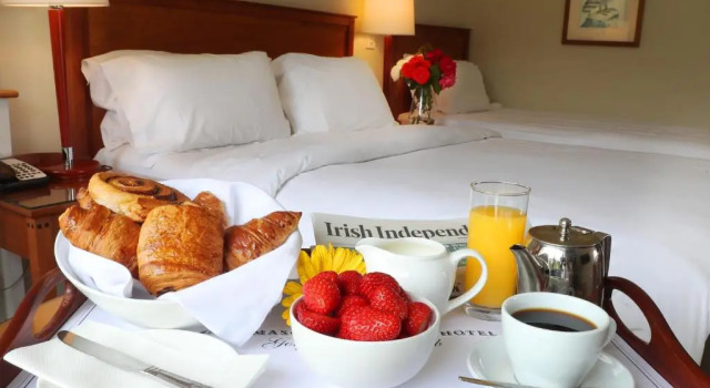 Одноместный номер Standard Ballymascanlon Hotel and Golf Resort