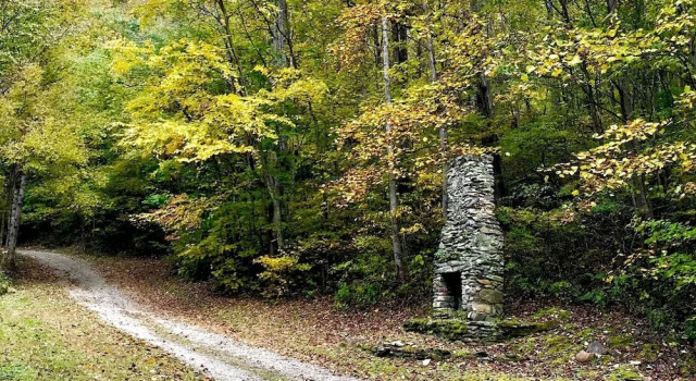 Wild Cat - 1 Br Cabin, Забронировать Дом для отпуска Барнардсвил Северная Каролина