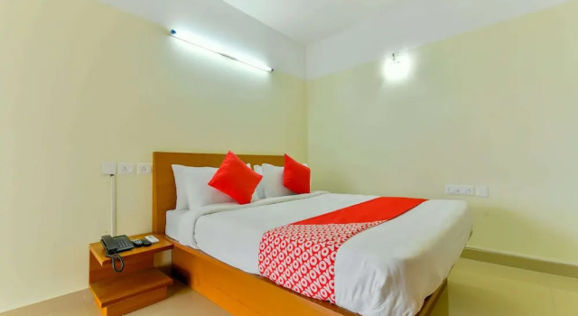Номер Standard OYO Flagship 10051 Hotel Tyche Stays