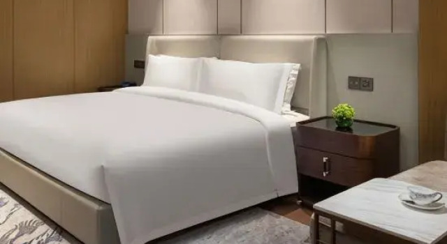 Люкс Deluxe Hemu Executive Apartment (Shenzhen Coast City Nanyou Garment City Branch)