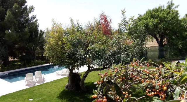 Zacchitella Garden House, Book Vacation Home Hotels in Sicily with a Pool, Swimming Pool