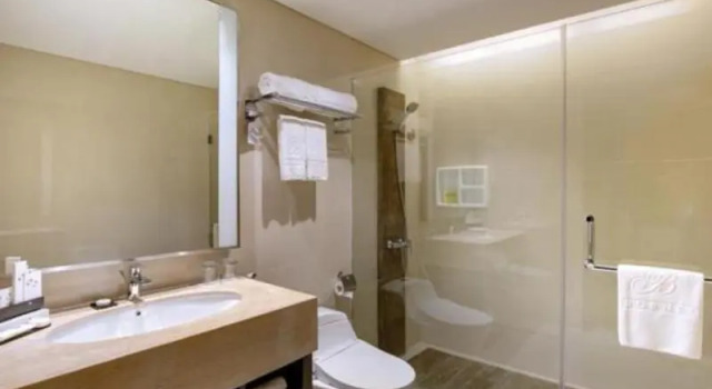 Номер Standard Swiss-Belhotel Borneo Banjarmasin