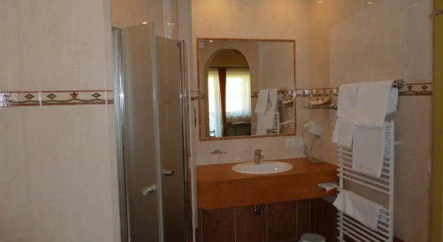 Двухместный номер Superior Hotel Vitaloase zu den drei Brüdern