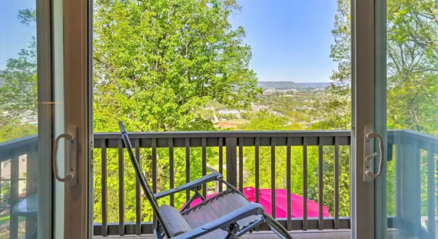 Bring Your Pets! Chattanooga Home w/ Dtwn Views